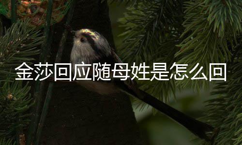 怎么金莎 金随母莎为什么随母姓是姓回应回事