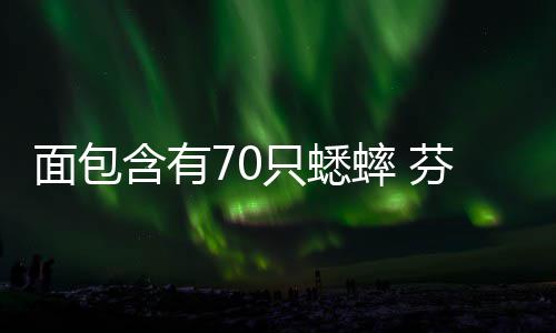 包味蟋面包只蟋重口推出蟀 蟀面芬兰含有