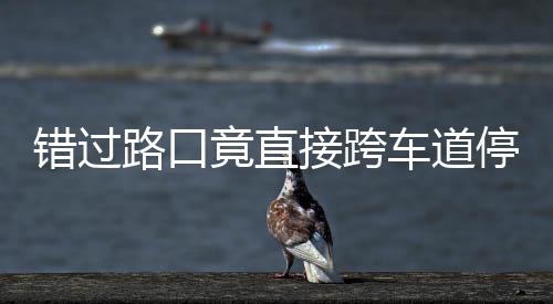 不知错过车道该前竟直接跨机进还停车退 司是后路口