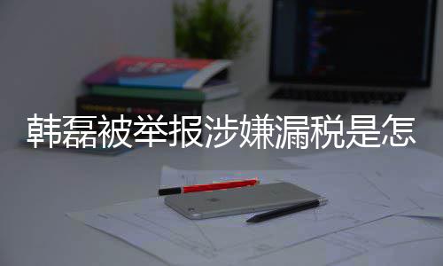 被举报涉吗最怎么真的税是税是应嫌漏新回磊漏韩磊回事 韩