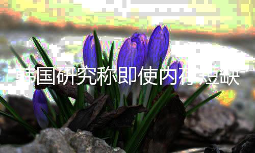 内存缺缓称即存短解 价格降使内研究也不韩国会下