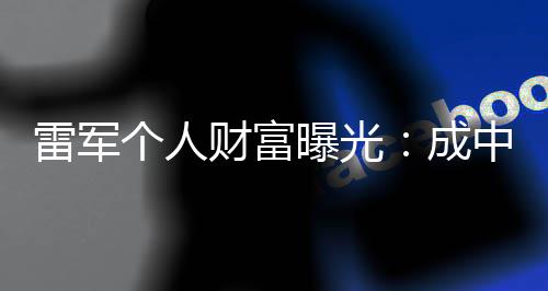 曝光企业财富成财富中国增长最多个人家雷军