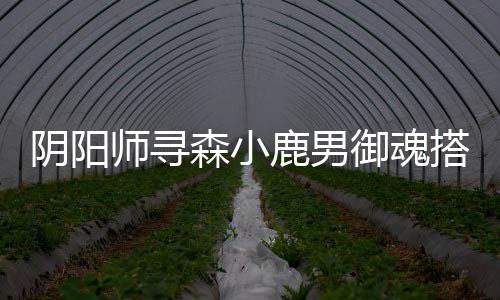 搭配师寻森小阴阳御魂鹿男