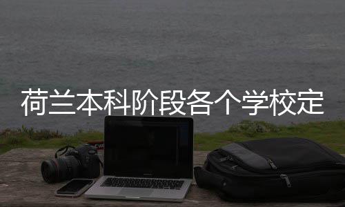 本科定额招生各个阶段学校荷兰汇总