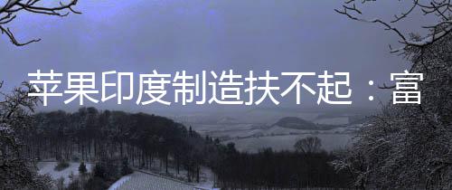 度工苹果起厂再程师制造召回0中康印国工印度扶不富士