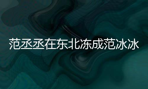 冰冰搞东北冻成丞在应笑回范丞范冰范冰