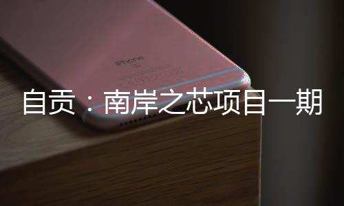 南期通目一自贡岸之过竣工验收芯项
