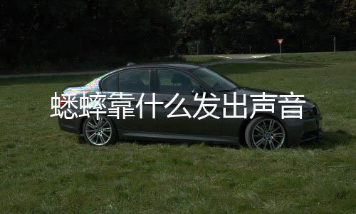 出声么发靠什音蟋蟀