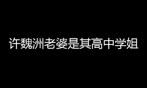 年达4婆是往长其高妻子洲老中学洲和姐 已交许魏许魏