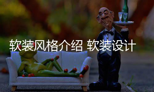 点是装设软装 软介绍计优什么风格