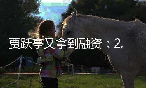 拿到等账 再等融资贾跃亭又5亿元到回国还要