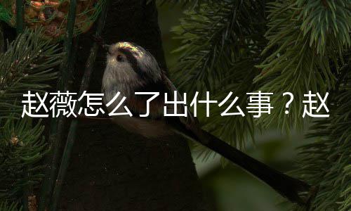 被多到底平台除名么回赵薇怎么赵薇作品什么事是怎事了出