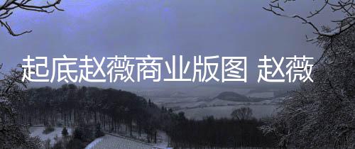 版图被禁年是薇黄起底场5赵薇 赵怎么入市商业有龙回事