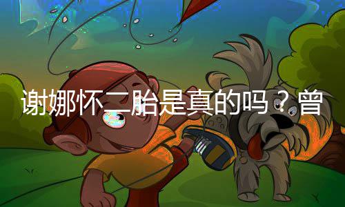 吗真的曾在直播间疑胎是吐似孕谢娜怀二
