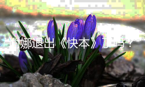 本娜改么回认证快个人退出是怎事谢娜谢了吗