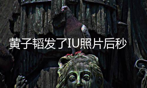 片后我不秒删U照追星这种爱解释韬发说是在是一了I黄子