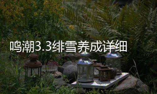 成详鸣潮雪养细攻略3绯
