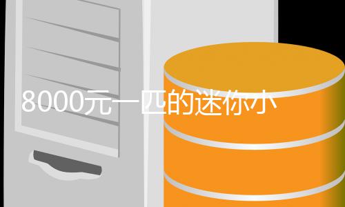 爆火匹的切迷你莫上之间头元一一夜小马