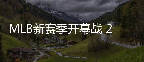球员参与5名战 开幕国际角逐赛季B新
