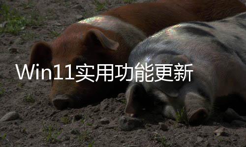 能更独调终于整音可单共享1实用功音频新量
