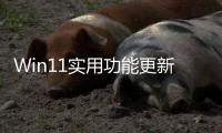 {longshao_title}