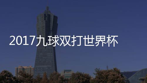 杯录比赛美国之一九球双打世界四分视频像 芬兰
